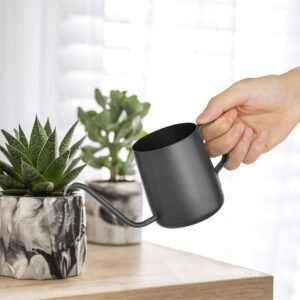 Small Indoor Plant Watering Can
