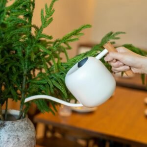 Indoor Plant Watering Can