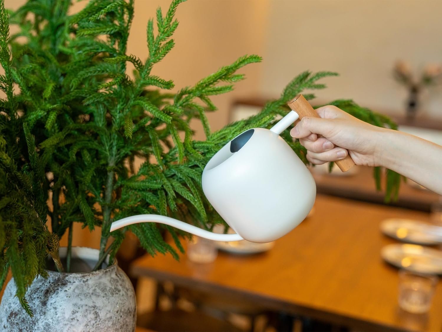 Indoor Plant Watering Can