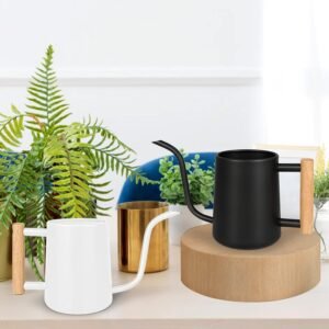 Indoor Plant Watering Cans